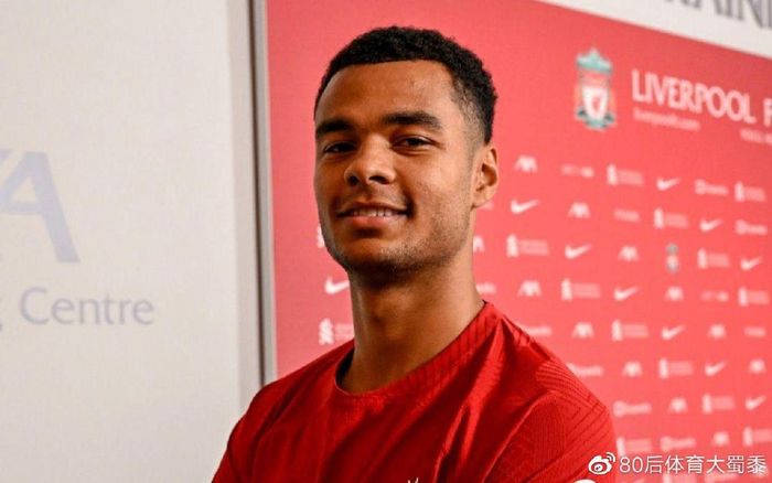 确实提升了 确实提升了