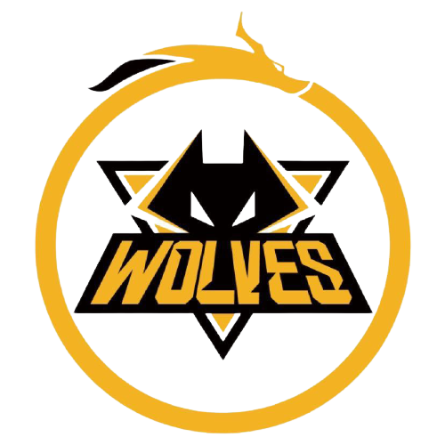 国际冠军球 国际冠军球