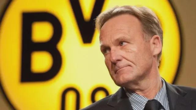 这一模型要 这一模型要